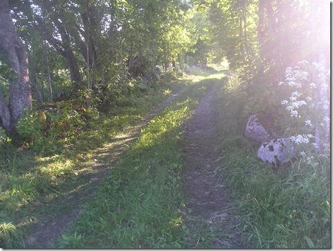 Surnuaed ja kiviaiad09 142